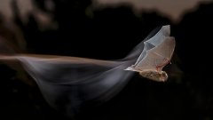 读书的名言警句摘抄