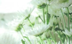 抖音公开恋爱的句子，情