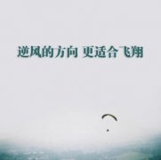 人生感悟正能量经典句子