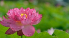 虎牙视频2022经典的说到