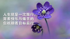 今日头条2022经典的网络