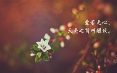感动说说句子爱情-关于