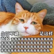 马蜂窝旅游点赞最多的搞
