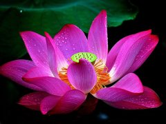 朋友圈说说情感经典句子