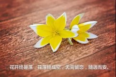 2022最精辟的情感经典说