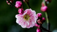 情感说说句子,句句漂亮