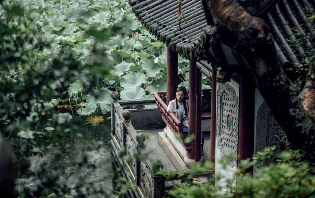 20句静美的诗词句子,洗涤你的心灵,挑一句送给自己吧-第1张图片- 20句静美的诗词句子,洗涤你的心灵,挑一句送给自己吧-第1张图片-