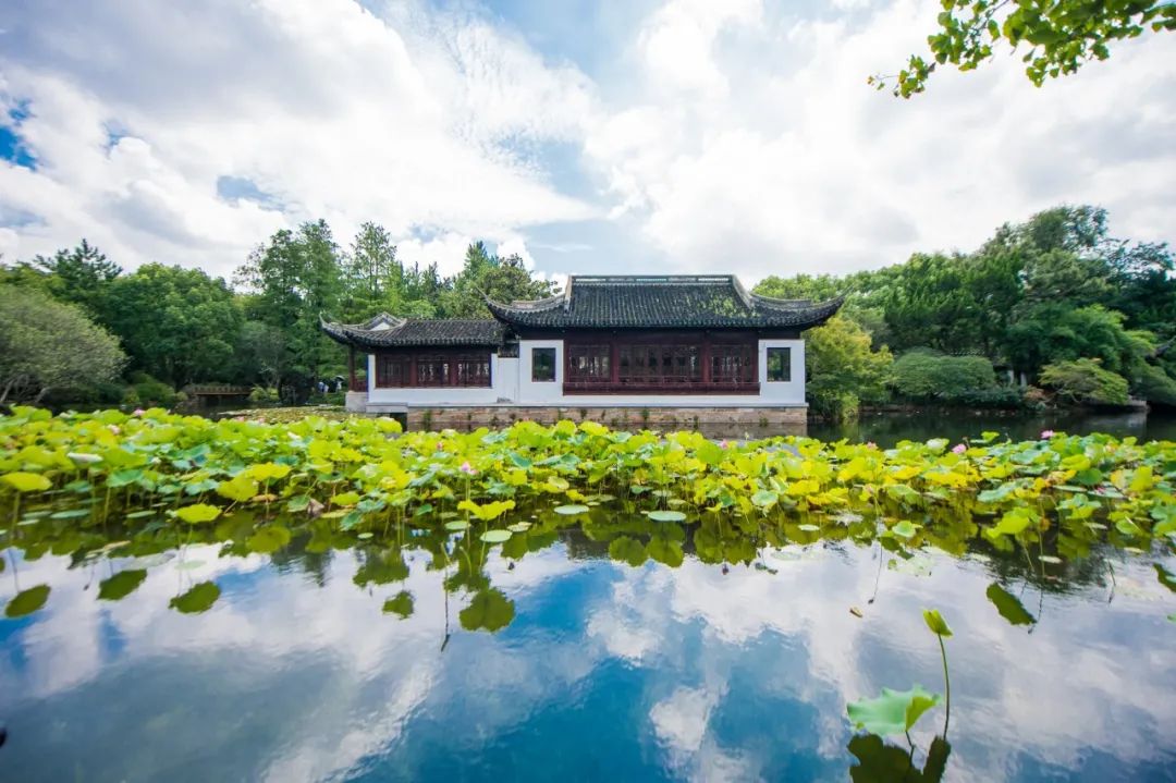20句静美的诗词句子,洗涤你的心灵,挑一句送给自己吧-第4张图片- 20句静美的诗词句子,洗涤你的心灵,挑一句送给自己吧-第4张图片-