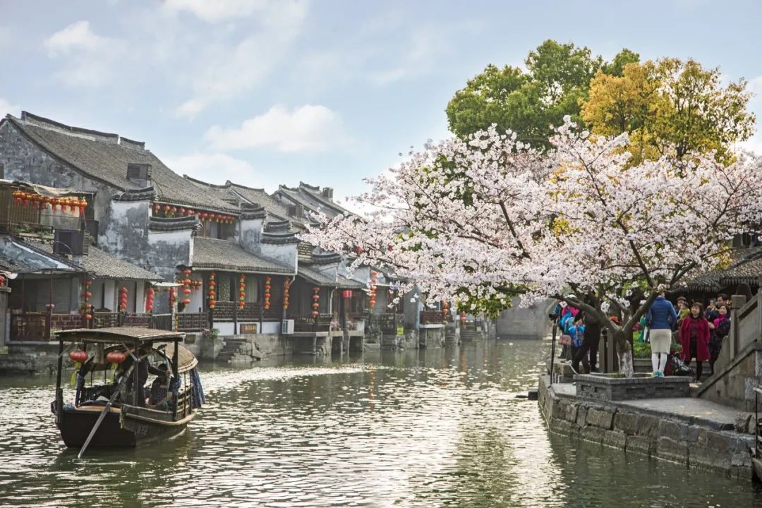 20句静美的诗词句子,洗涤你的心灵,挑一句送给自己吧-第6张图片- 20句静美的诗词句子,洗涤你的心灵,挑一句送给自己吧-第6张图片-