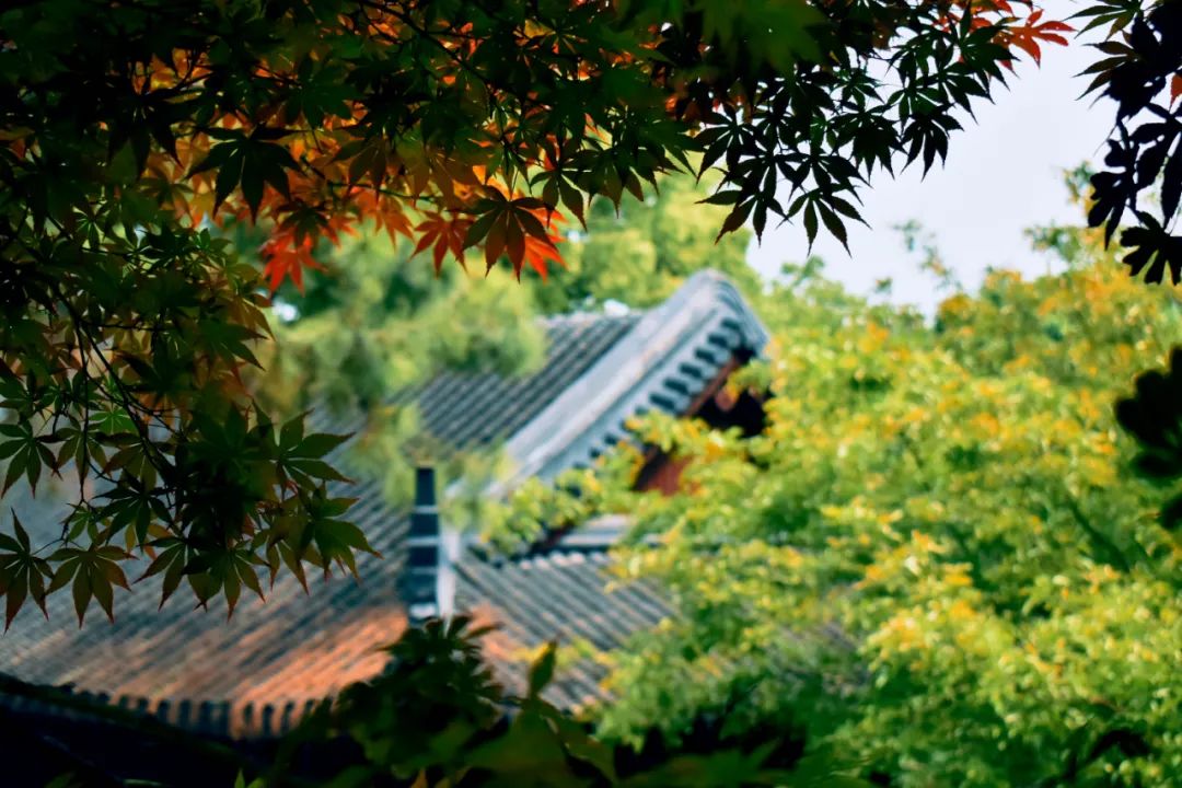20句静美的诗词句子,洗涤你的心灵,挑一句送给自己吧-第8张图片- 20句静美的诗词句子,洗涤你的心灵,挑一句送给自己吧-第8张图片-